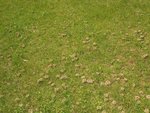 DSC05906.JPG