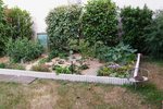 P1010912-1.jpg