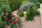P1010087-1.jpg