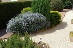 P1010050-1.jpg