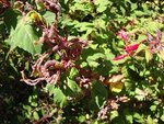 DSC03512.JPG