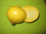 bb (melon)