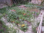 DSCN3339.JPG