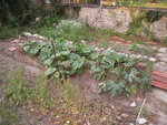 DSCN3340.JPG