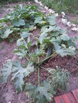 DSCN3316.JPG