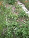 DSCN3332.JPG