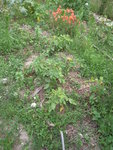 DSCN3331.JPG