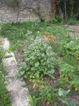 DSCN3311.JPG