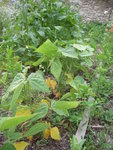 DSCN3312.JPG