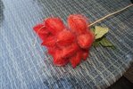 DSC06041.JPG