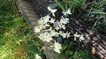 DSC0045311.JPG