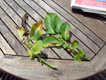 BILD4700.JPG