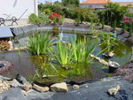 DSC07508.JPG