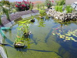 DSC07507.JPG