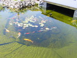 DSC07505.JPG