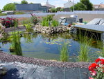 DSC07500.JPG