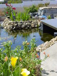DSC07499.JPG
