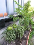DSCN9073.JPG