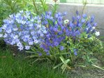 Photo00274.jpg