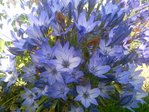 Photo0022.jpg