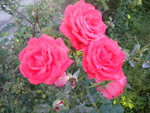DSCN2453.JPG