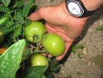 light-IMG_a.JPG