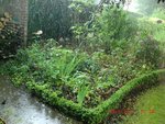 2011-06-28 pluie - 1 x.jpg