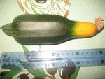 IMG_0985.JPG
