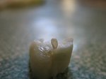IMG_0992.JPG