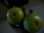 IMGP3389.JPG