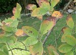 DSC03110.JPG