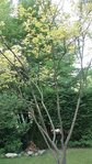 DSC03113.JPG