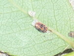 RSCN1654.JPG