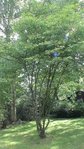 DSC03112.JPG