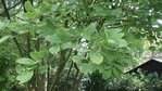 DSC03111.JPG