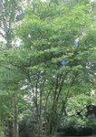 DSC03112.JPG