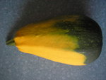 P1010010.JPG