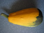 P1010009.JPG