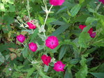 DSCN3223.JPG