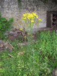 DSCN3227.JPG