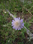DSCN3229.JPG
