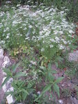 DSCN3322.JPG