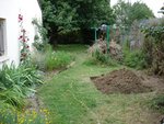 Travaux en cours du deuxième mixed-border : recéper la haie, bêcher...