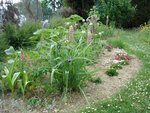 Le nouveau mixed-border. (Bon, oui ! Je n'aime pas tondre...)