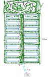 Plan potager 4.JPG