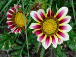 DSCN6536.JPG