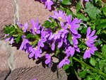DSCN6575.JPG