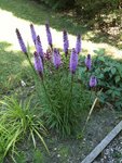 IMG_1212.JPG