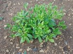 2011-07-06 20.06.27.jpg