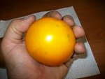 IMGP3413.JPG